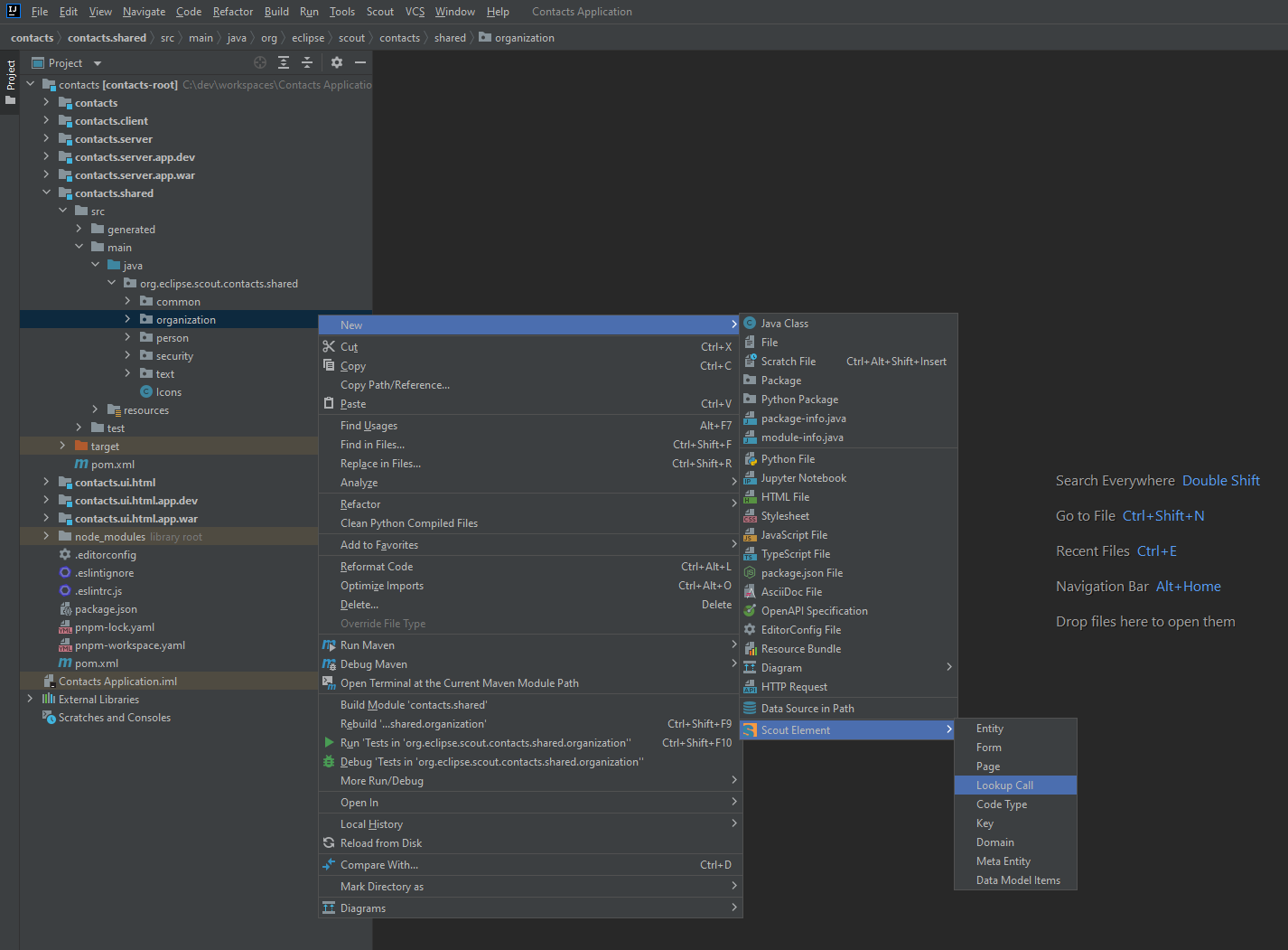 sdk create new lookupcall organization Intellij